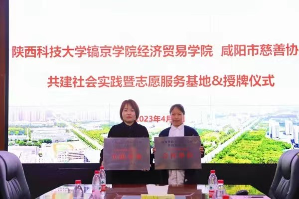 图十二.jpg